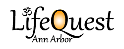 LifeQuest Ann Arbor